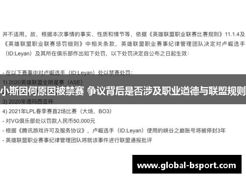 小斯因何原因被禁赛 争议背后是否涉及职业道德与联盟规则