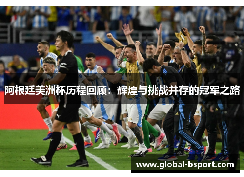 阿根廷美洲杯历程回顾：辉煌与挑战并存的冠军之路